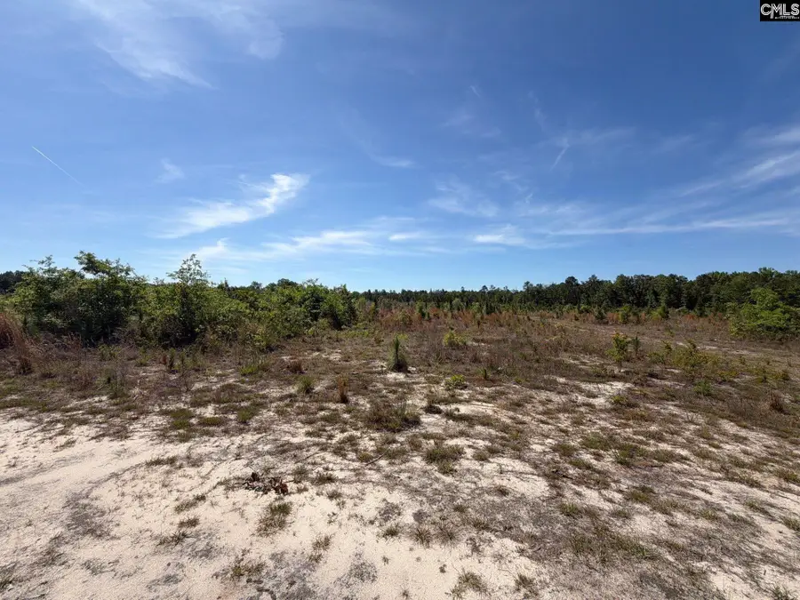 HRF 1 Holstein Road, Wagener, SC 29164 - #3
