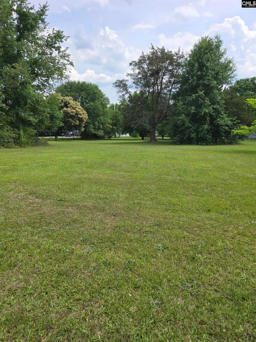 TBD Harvest Road, Saluda, SC 29138 - #3