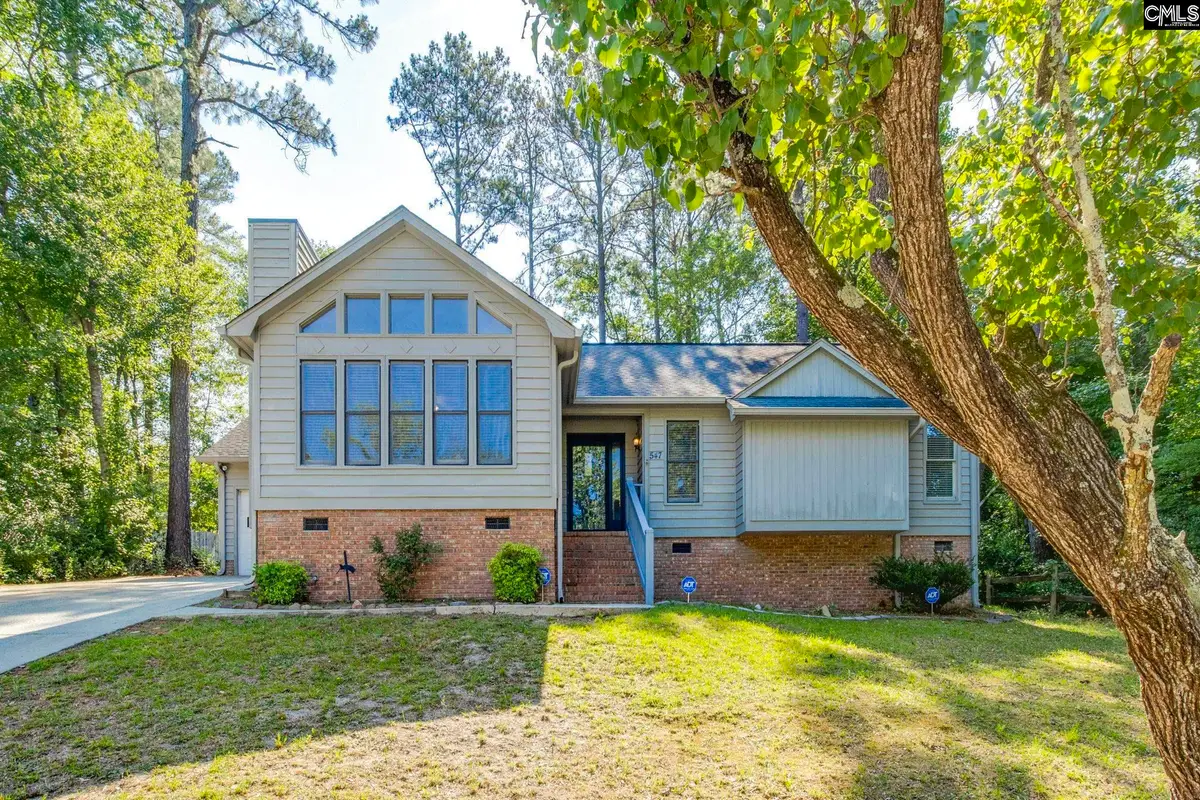 547 Pin Oak Drive, Lexington, SC 29073 - #1