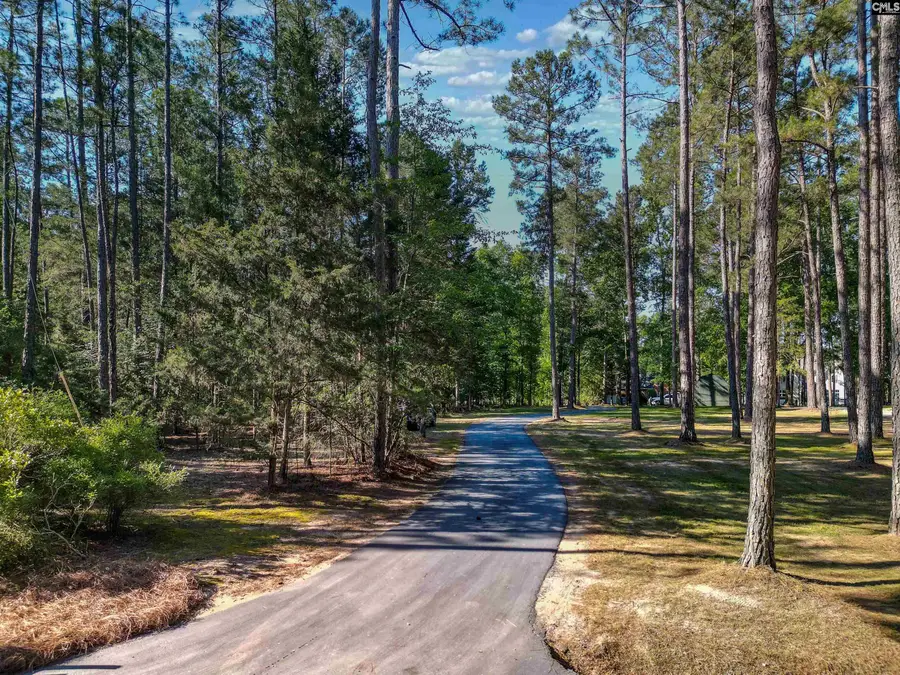 135 Willowood Cove, Chapin, SC 29036 - #2