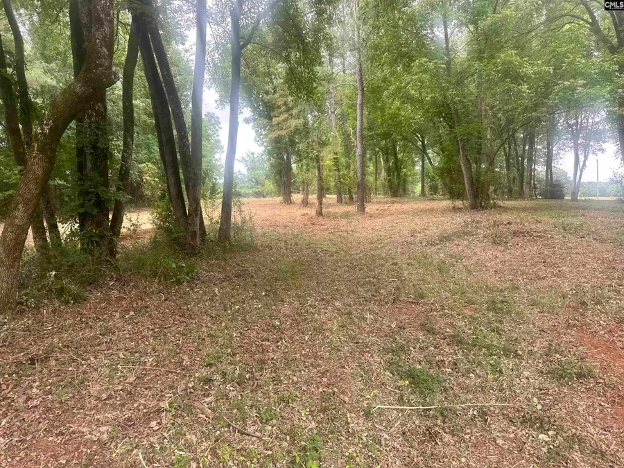 0 Hwy 202 Highway, Little Mountain, SC 29075 - #3