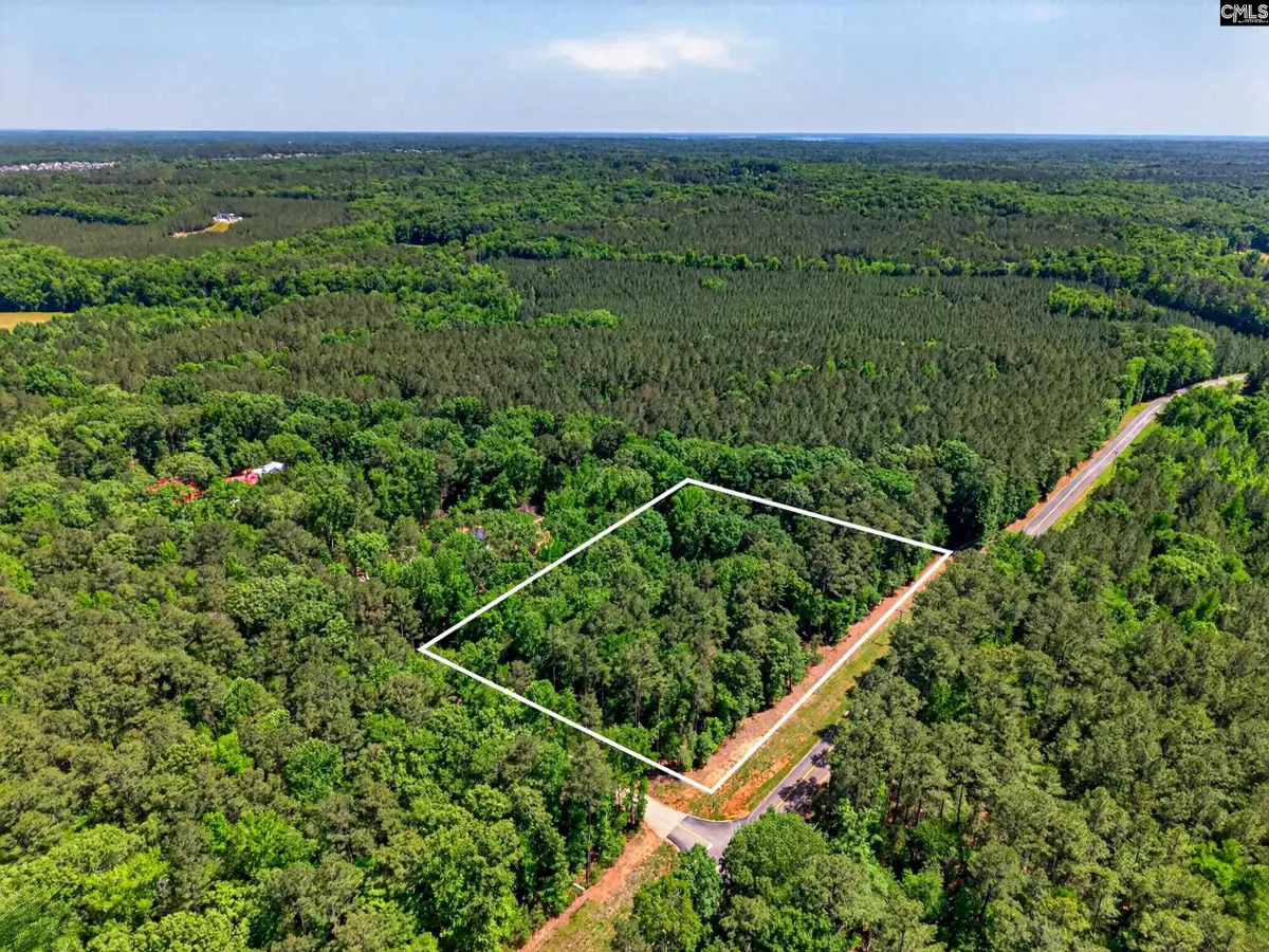1339 Jake Eargle Road, Little Mountain, SC 29075 - #1