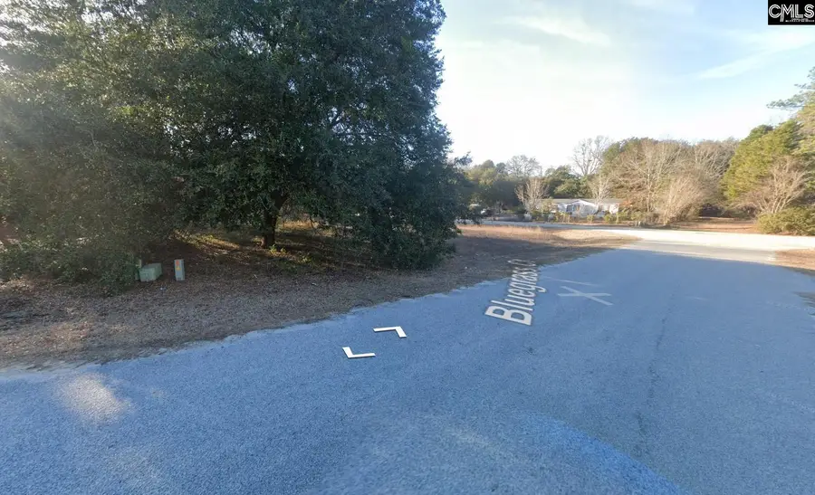 70 Sawgrass Court, Sumter, SC 29150 - #2