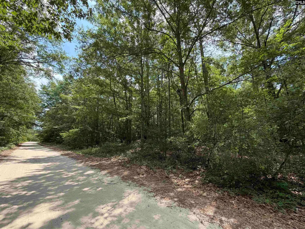 143 Seleta Circle, Lexington, SC 29073 - #1