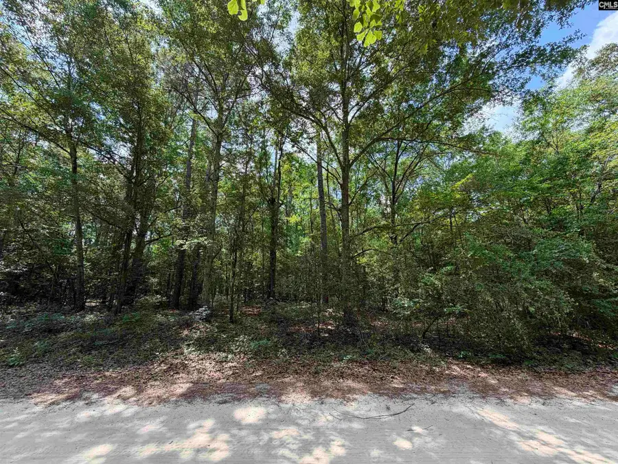 143 Seleta Circle, Lexington, SC 29073 - #2