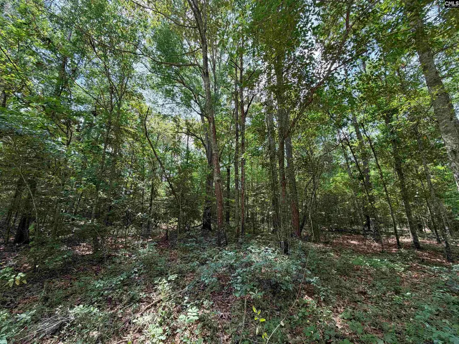143 Seleta Circle, Lexington, SC 29073 - #3