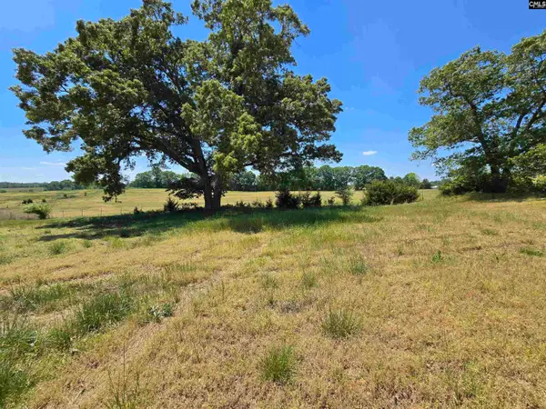 542 Pea Ridge Highway, Jonesville, SC 29353