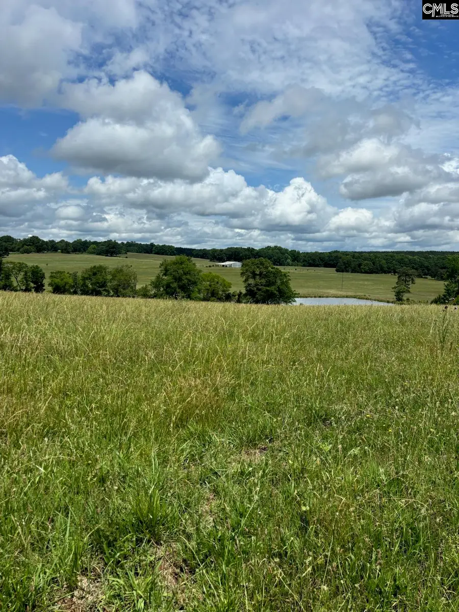 542 Pea Ridge Highway, Jonesville, SC 29353 - #3