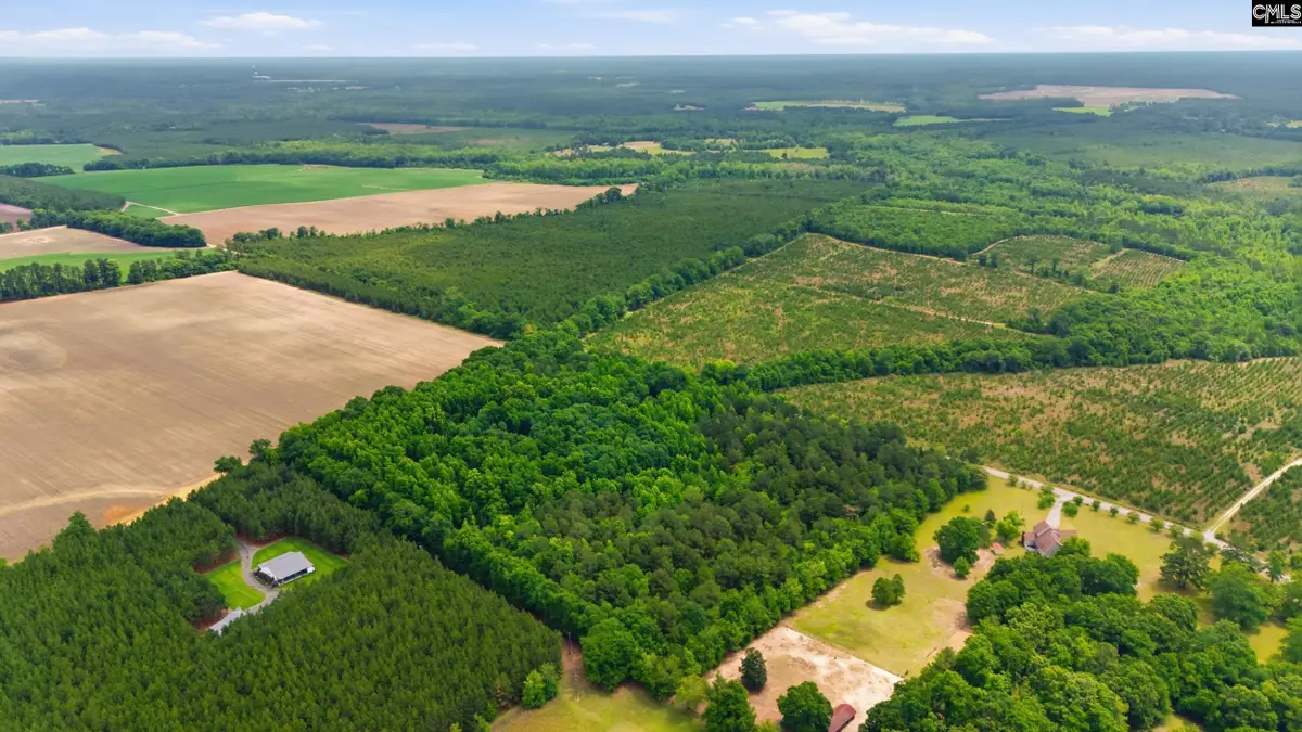3 Toby Creek Road, Barnwell, SC 29812 - #1