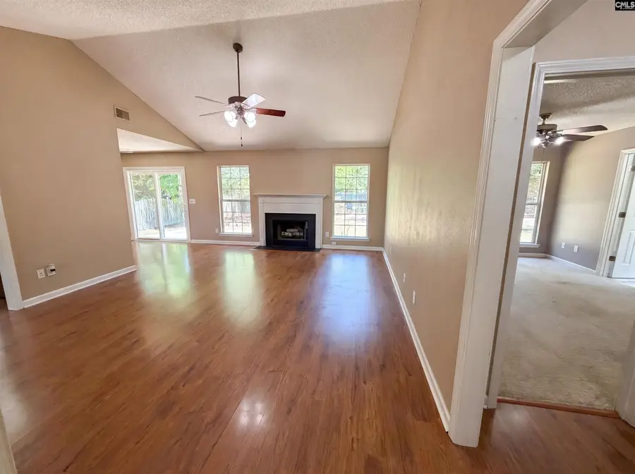3 Summer Branch Court, Irmo, SC 29063 - #3