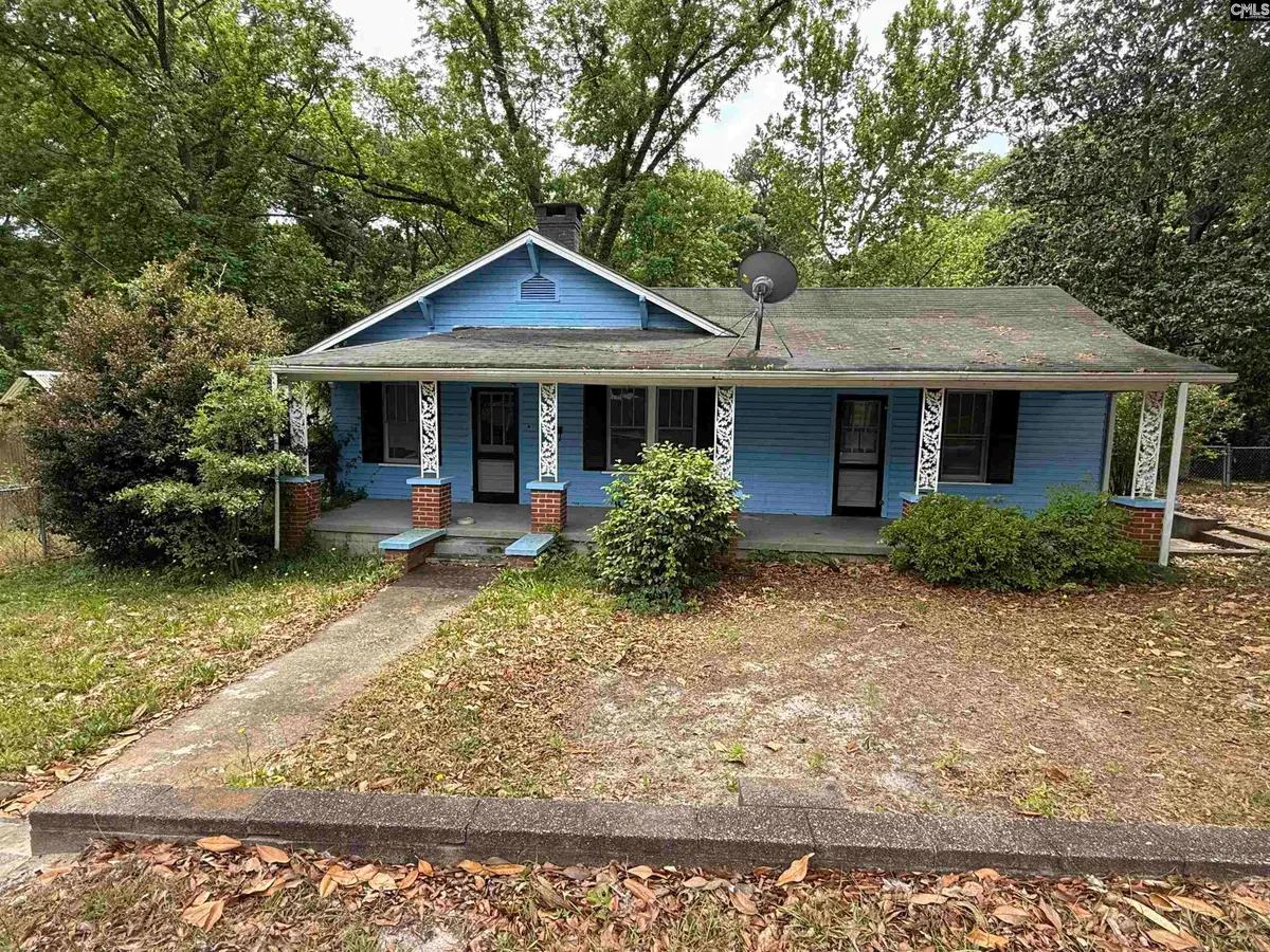 119 School Street, Lexington, SC 29072 - #1