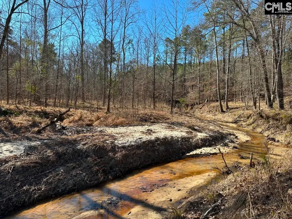 River Road, Winnsboro, SC 29180 - #1