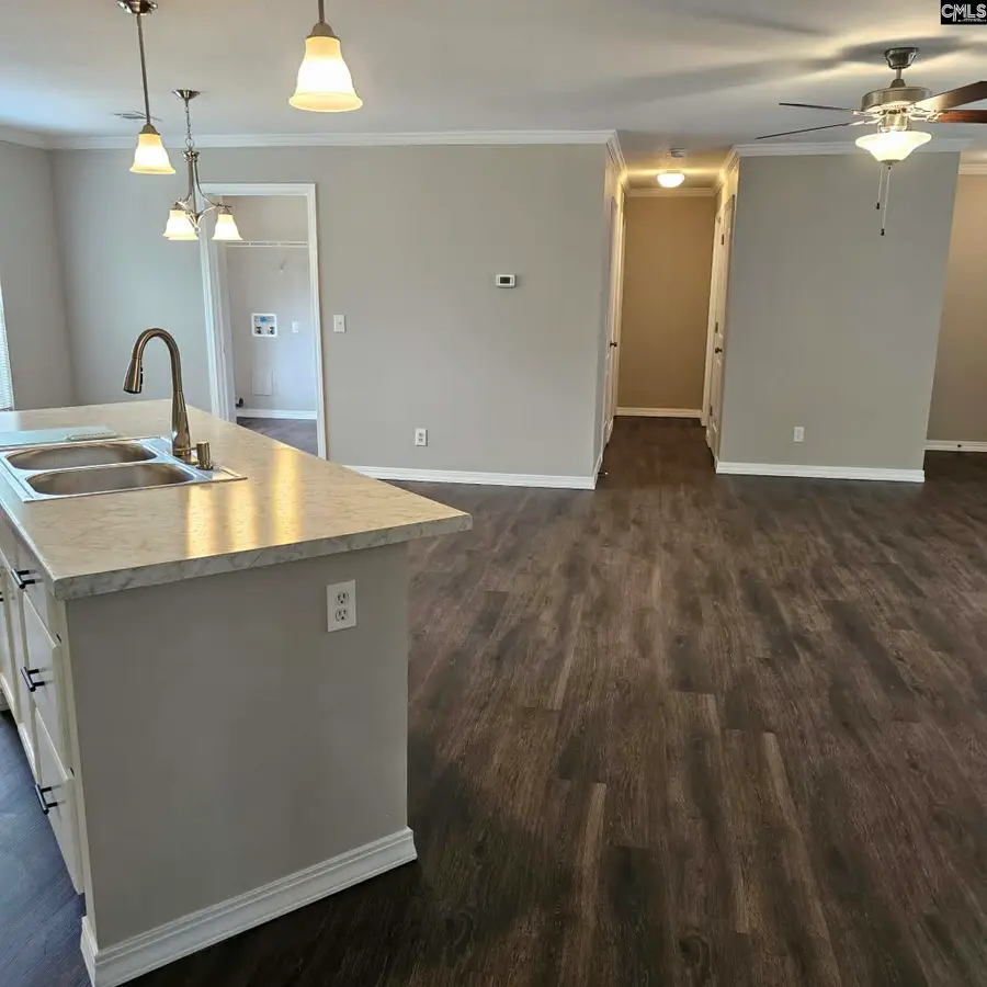 1435 Old Charleston Road, Pelion, SC 29123 - #3