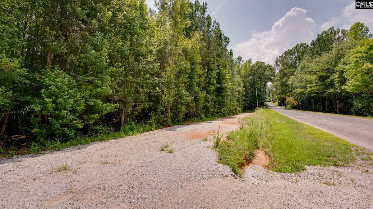 618 Meadowlark Road, Little Mountain, SC 29075 - #1