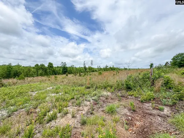 0 Neely Wingard Road #Lot 7, Gilbert, SC 29054