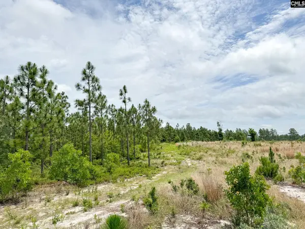 0 Neely Wingard Road #Lot 8, Gilbert, SC 29054