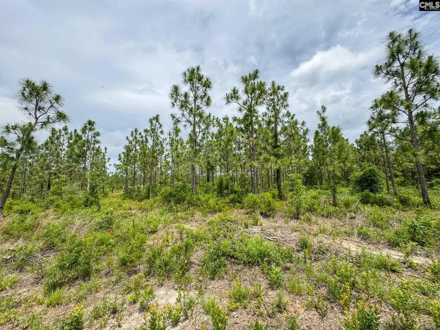 0 Neely Wingard Road #Lot 8, Gilbert, SC 29054 - #3