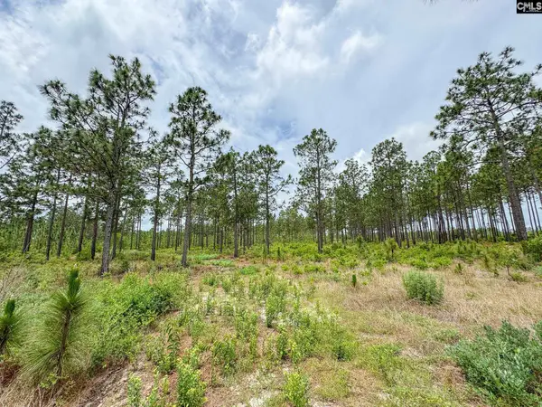 0 Neely Wingard Road #Lot 11, Gilbert, SC 29054