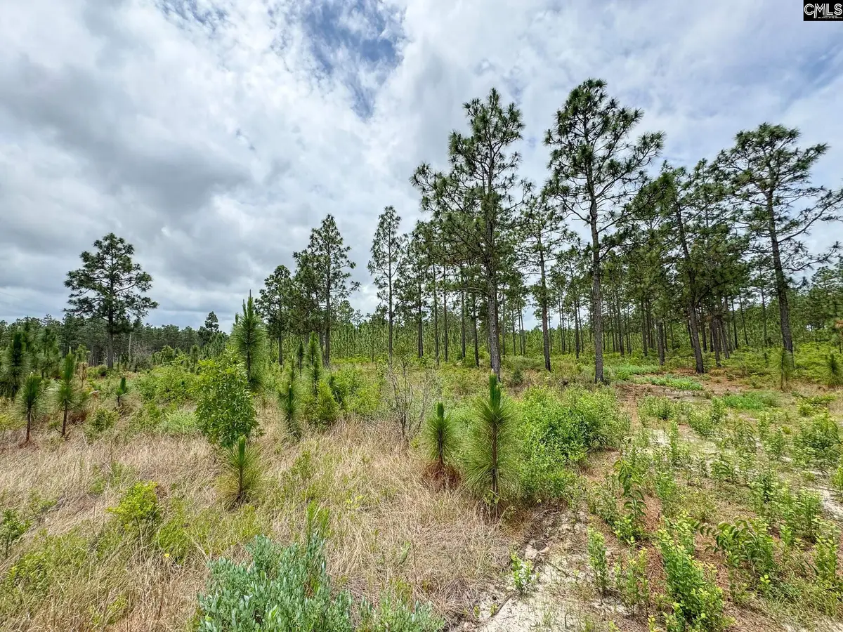 0 Neely Wingard Road #Lot 12, Gilbert, SC 29054 - #1