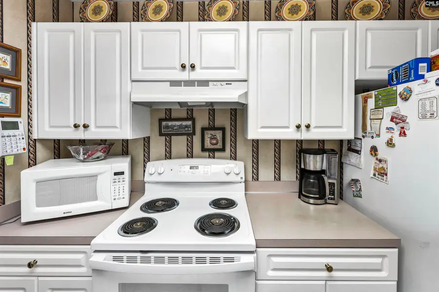 1033 Ivy Green Circle, Irmo, SC 29063 - #2