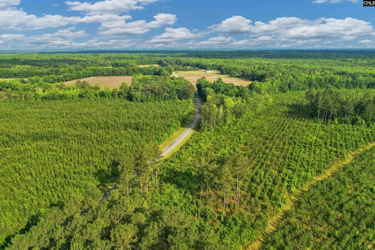 0000 N Brewington Road #10, Manning, SC 29102 - #1
