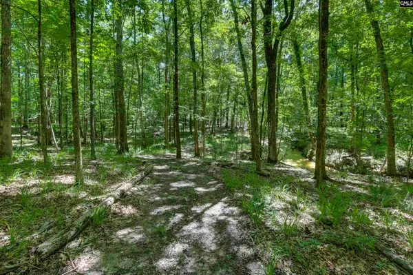 Bright Myers Road, Blythewood, SC 29016