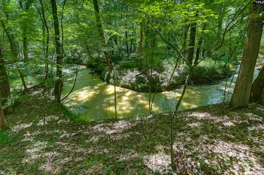 Bright Myers Road, Blythewood, SC 29016 - #2