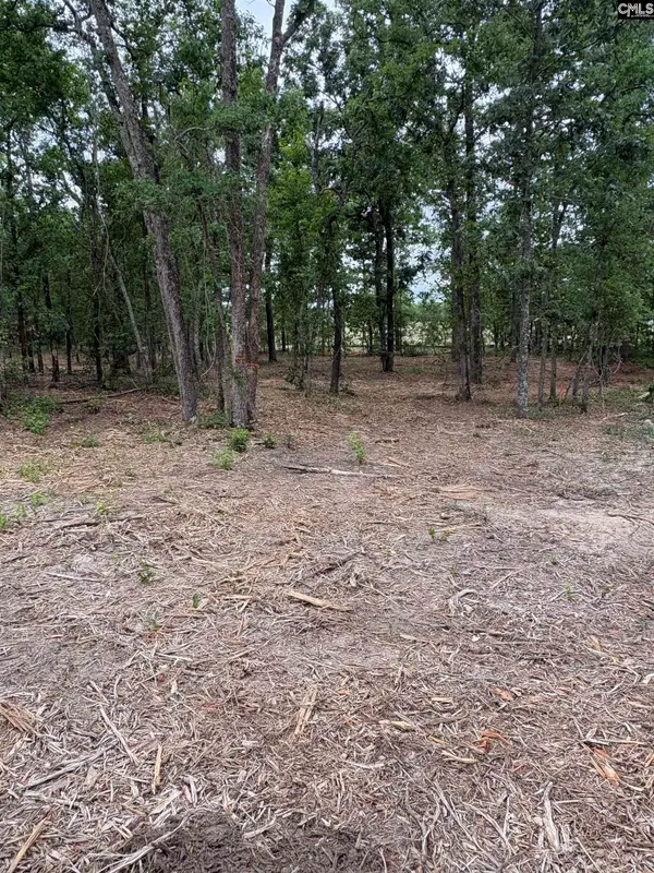 Lot 1 Quattlebaum Drive, Leesville, SC 29070