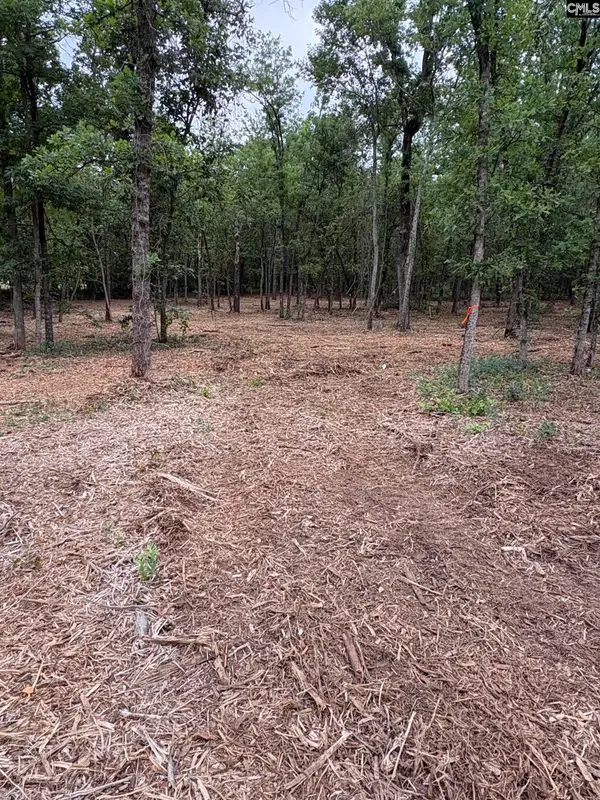 Lot 2 Quattlebaum Drive, Leesville, SC 29072