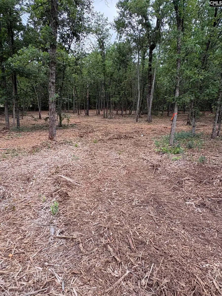 Lot 2 Quattlebaum Drive, Leesville, SC 29072 - #2