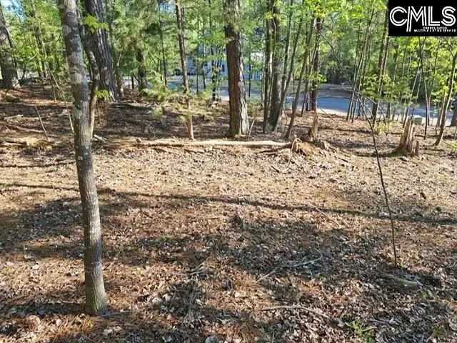 512 Links Pointe Court, Chapin, SC 29036 - #2
