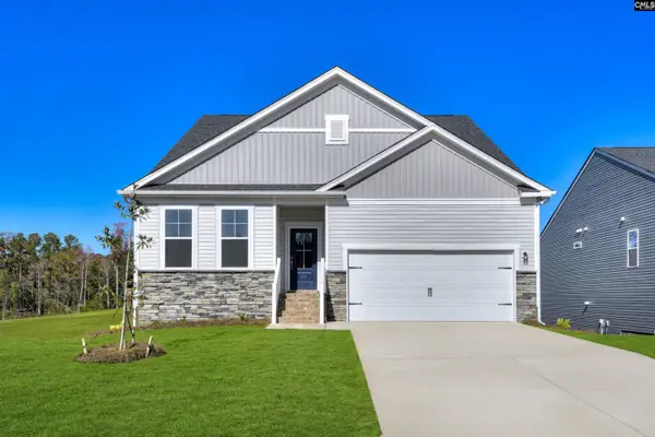 716 Feldspar Court, Chapin, SC 29036
