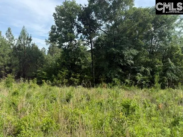 0 Old Jolleystreet Road, Prosperity, SC 29127 - #1