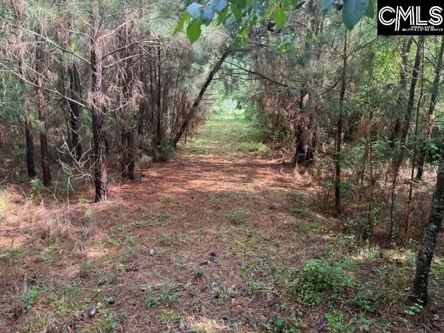 0 Old Jolleystreet Road, Prosperity, SC 29127 - #2