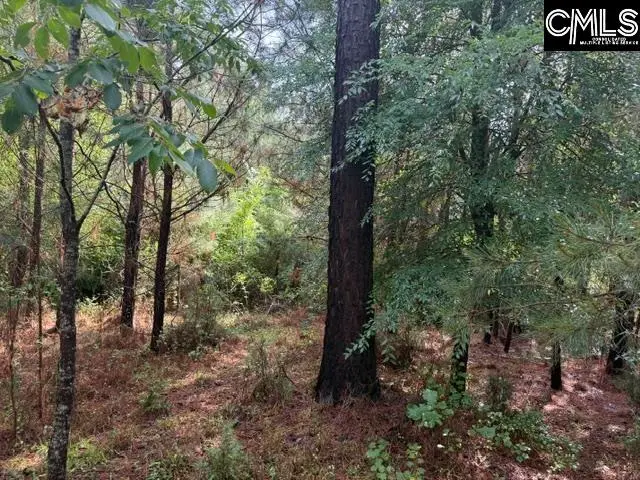 0 Old Jolleystreet Road, Prosperity, SC 29127 - #3