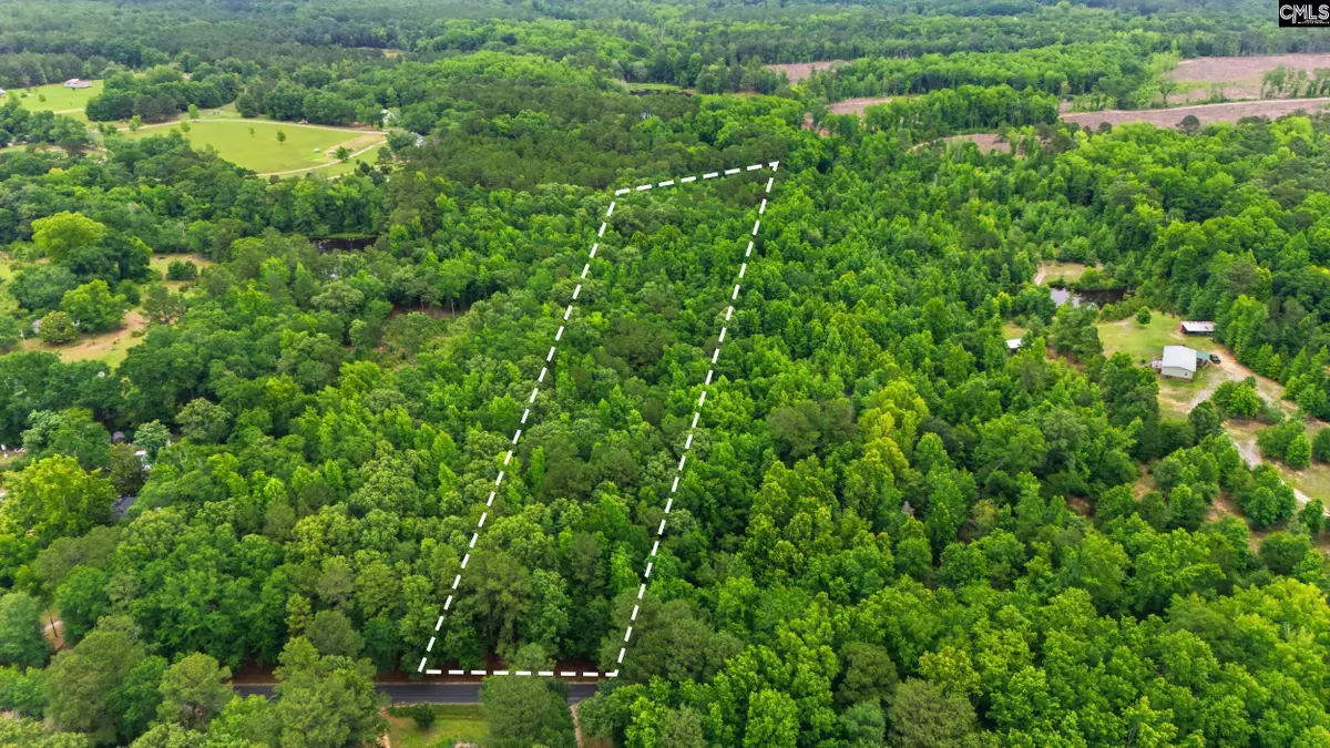 TBD Basil Road, Swansea, SC 29160 - #1
