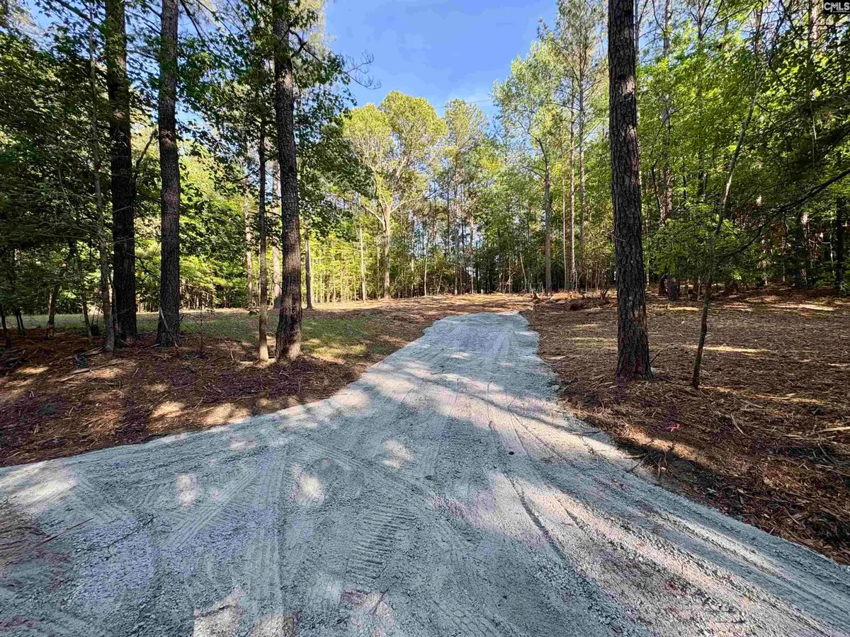 310 Douglas Road, Pomaria, SC 29126 - #1