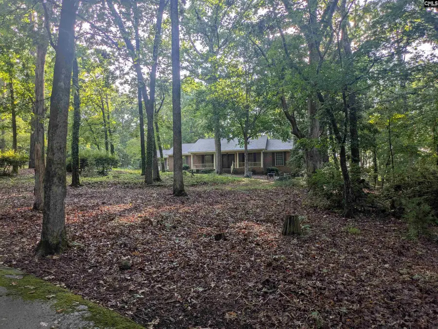 779 Hope Ferry Road, Lexington, SC 29072 - #2