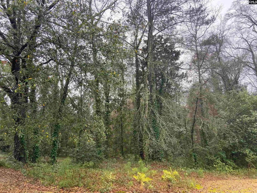 1951 Forest Drive #32, Camden, SC 29020 - #2