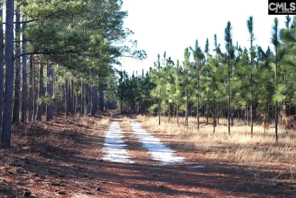 Holstein Road, Wagener, SC 29164 - #1