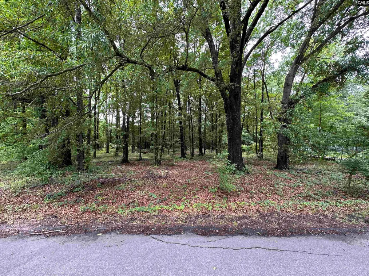 0 Sewanee Avenue, Cayce, SC 29033 - #1