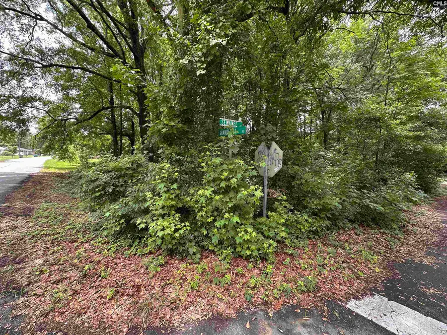 0 Sewanee Avenue, Cayce, SC 29033 - #2