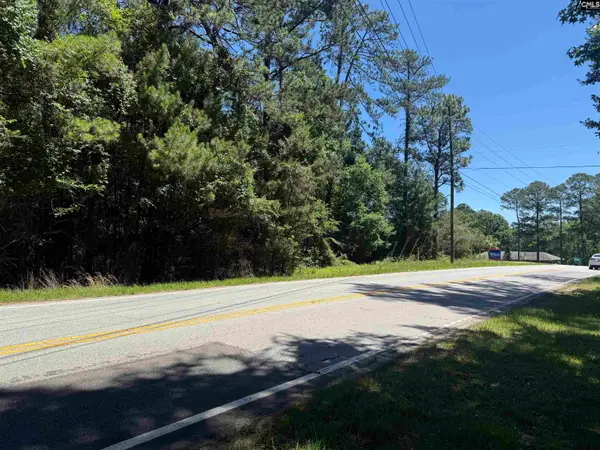 0 Corely Mill Road, Lexington, SC 29073