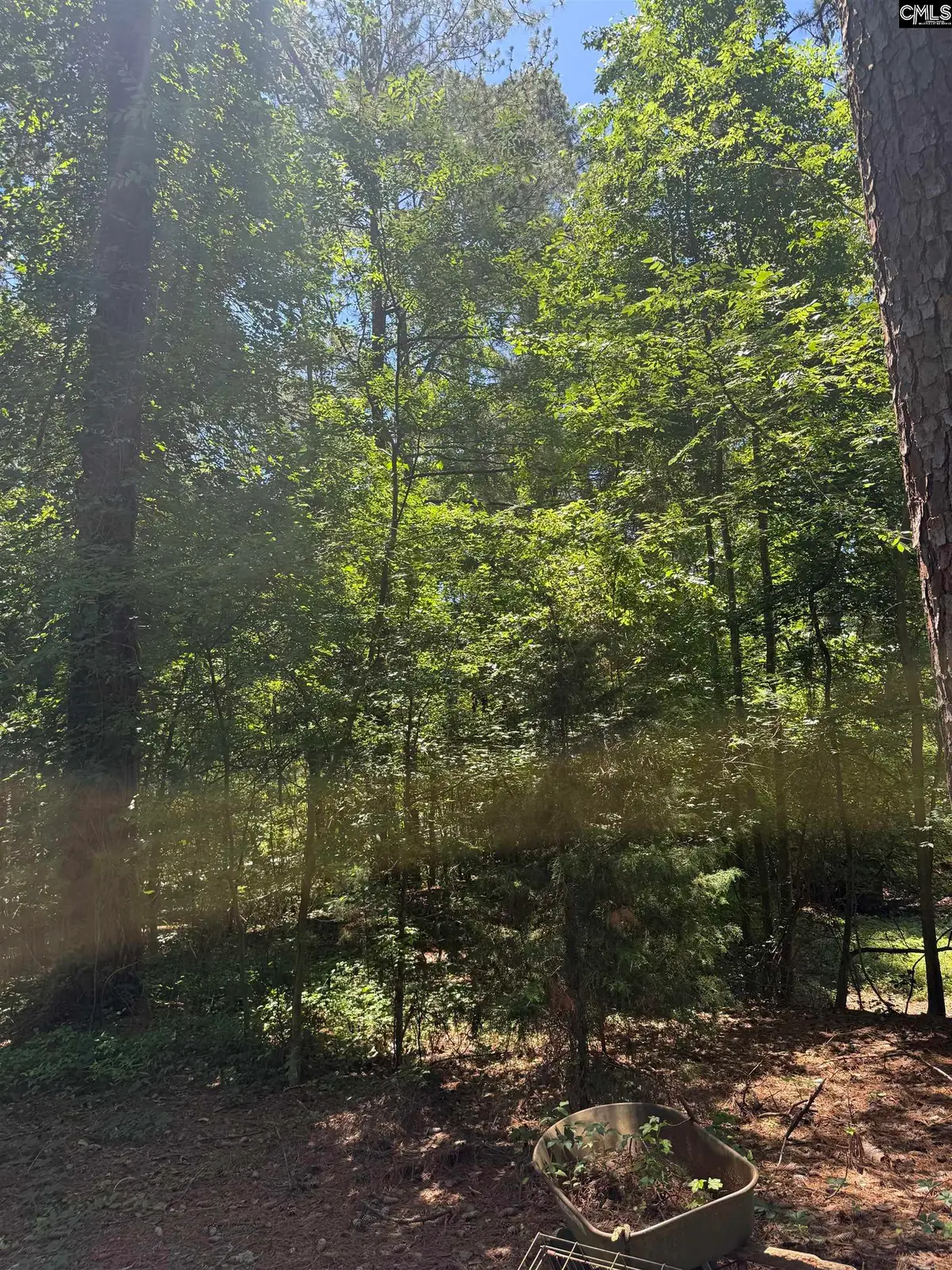 0 Center Drive, Lexington, SC 29073 - #1