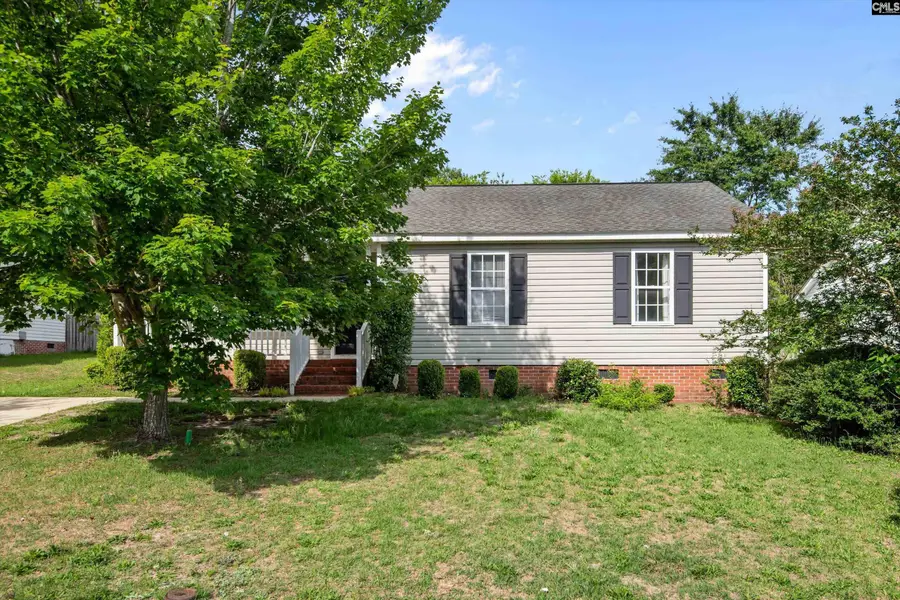 245 Jessica Drive, Lexington, SC 29073 - #3