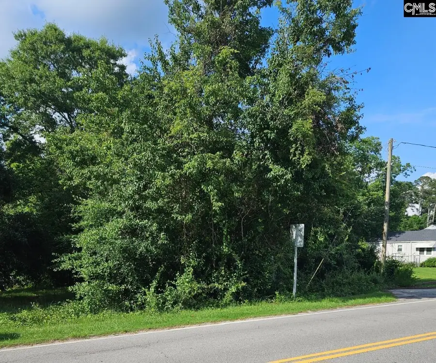 1711 Chestnut Street, Orangeburg, SC 29115 - #2