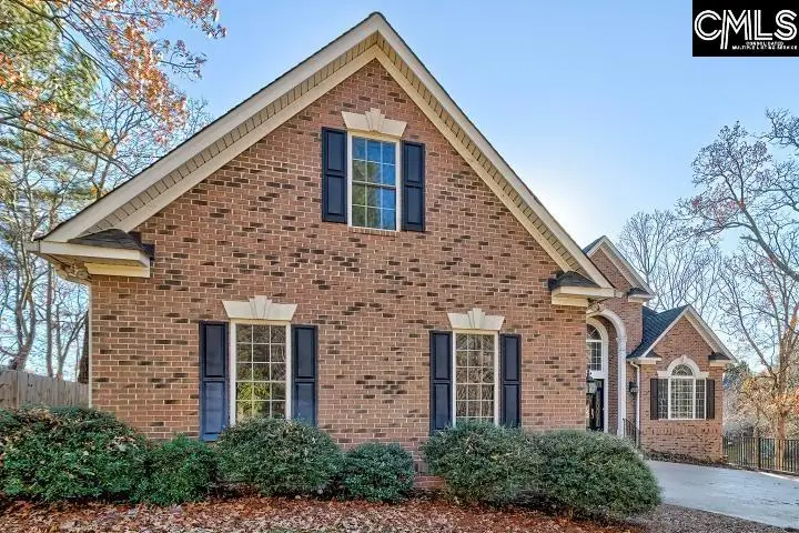 2016 Amicks Ferry Road, Chapin, SC 29036 - #2