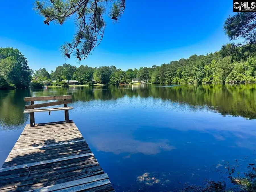 308 N Chelsea Road, Columbia, SC 29223 - #2