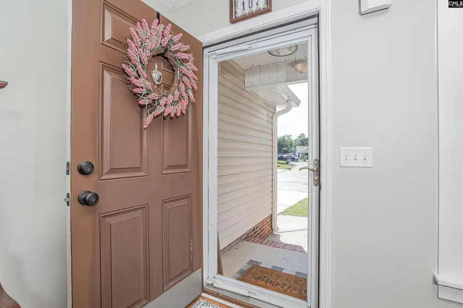 107 Elm Creek Drive, Chapin, SC 29036 - #2