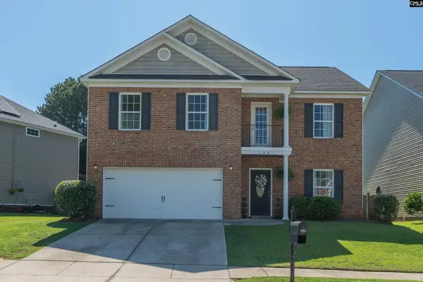 133 Palm St, Chapin, SC 29036